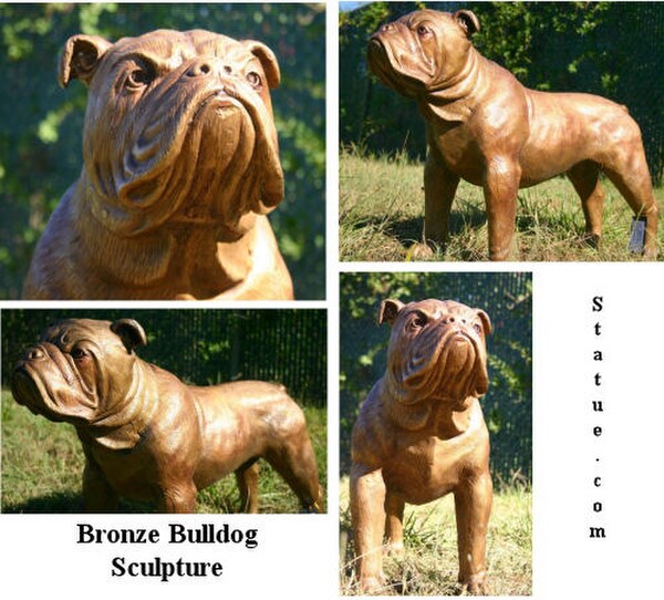 Life size bronze bulldog standing with head raised at attention